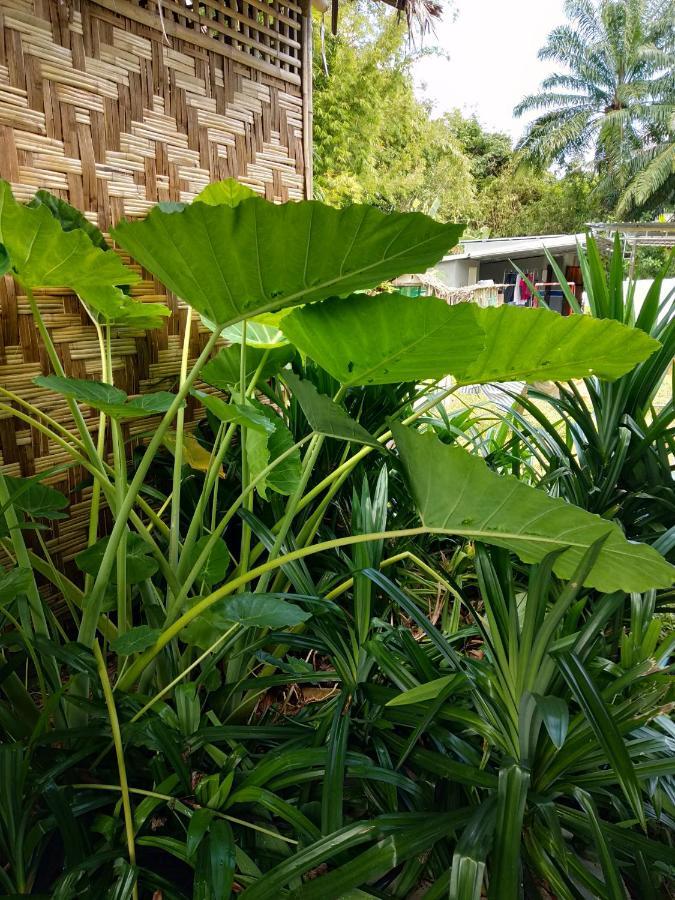 Meechok Organic Home Ao Nang Exterior foto